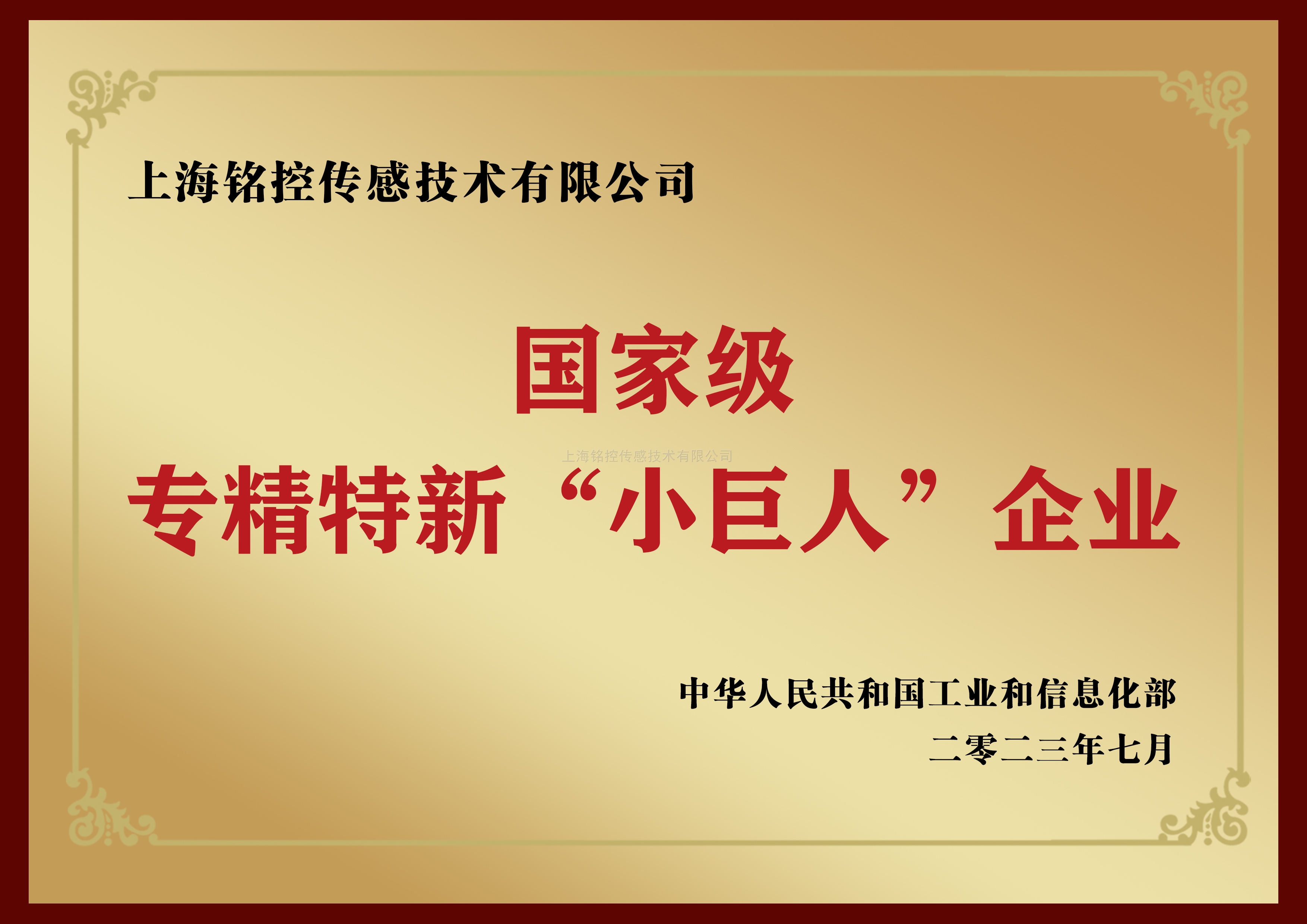 專精特新“小巨人”企業(yè)