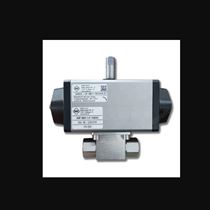 工控产品  BeeAKP87E-1-DAE63N-GROB