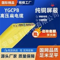 外径22.7*6.5mm耐高温高压扁电缆KHPYFFB