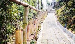 记者提问|《配额方案》相关情况回答