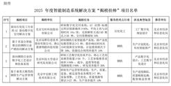 2025年度智能制造系统解决方案“揭榜挂帅”项目名单