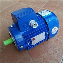 中研紫光MS电机