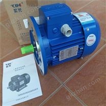 清華紫光MS三相異步電動(dòng)機(jī)