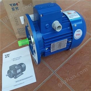 清華紫光鋁合金殼電動機(jī)