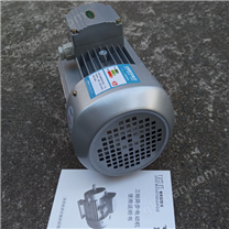 清华紫光MS7124三相异步电动机