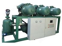 比澤爾螺桿并聯(lián)機(jī)組