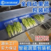 生鲜瓜果蔬菜白菜油麦菜全自动枕式包装机