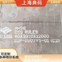 鋼板快速噴印 全自動噴碼機 耐高溫墨水