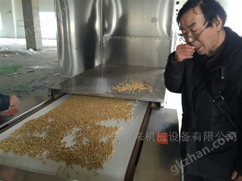 黃豆微波烘烤設(shè)備 黃豆脫腥設(shè)備
