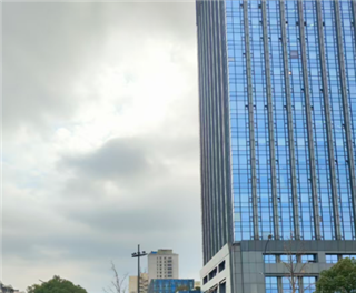 引爆新赛道 未来已来 上海大力培育发展脑机接口